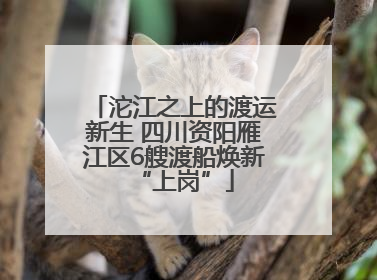 沱江之上的渡运新生 四川资阳雁江区6艘渡船焕新“上岗”