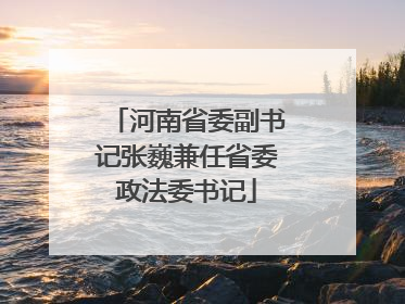 河南省委副书记张巍兼任省委政法委书记
