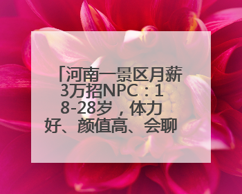 河南一景区月薪3万招NPC：18-28岁，体力好、颜值高、会聊天！已有1000多人应聘