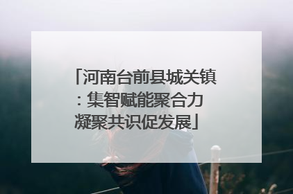 河南台前县城关镇：集智赋能聚合力 凝聚共识促发展
