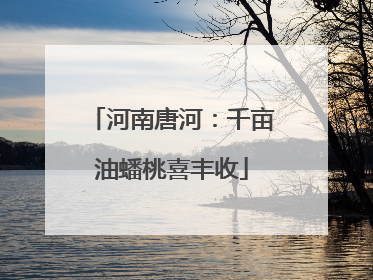 河南唐河：千亩油蟠桃喜丰收
