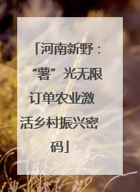 河南新野：“薯”光无限 订单农业激活乡村振兴密码