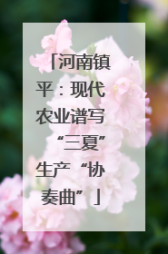 河南镇平：现代农业谱写“三夏”生产“协奏曲”