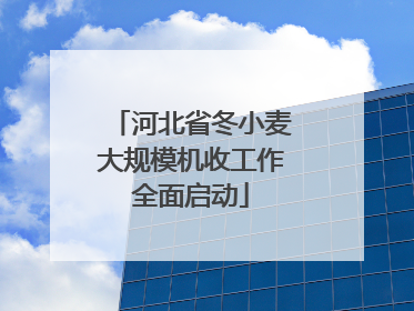 河北省冬小麦大规模机收工作全面启动