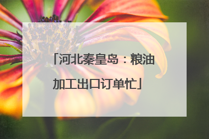 河北秦皇岛：粮油加工出口订单忙