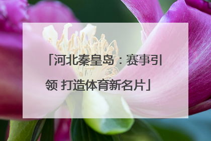 河北秦皇岛：赛事引领 打造体育新名片