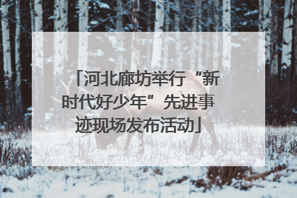 河北廊坊举行“新时代好少年”先进事迹现场发布活动