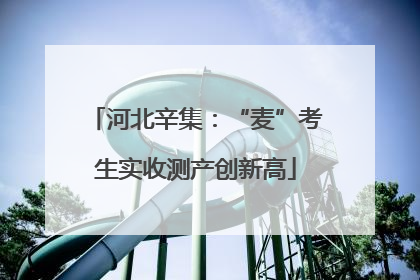 河北辛集：“麦”考生实收测产创新高