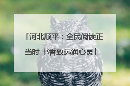 河北顺平：全民阅读正当时 书香致远润心灵