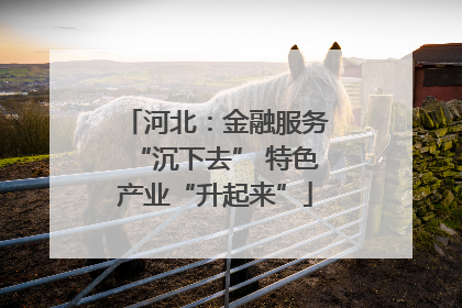 河北：金融服务“沉下去” 特色产业“升起来”