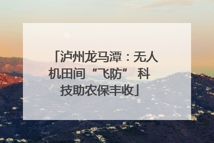泸州龙马潭：无人机田间“飞防” 科技助农保丰收