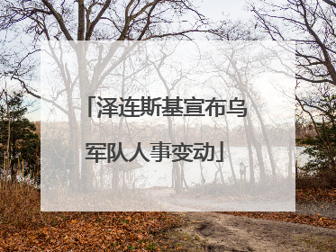 泽连斯基宣布乌军队人事变动