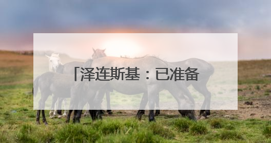 泽连斯基：已准备好进行最高级别会晤并愿与普京会面
