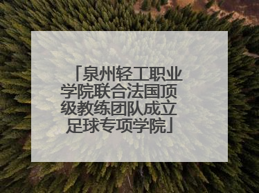 泉州轻工职业学院联合法国顶级教练团队成立足球专项学院