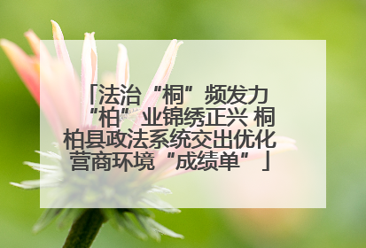 法治“桐”频发力 “柏”业锦绣正兴 桐柏县政法系统交出优化营商环境“成绩单”