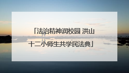 法治精神润校园 洪山十二小师生共学民法典