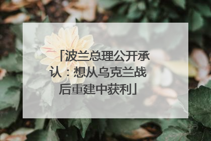 波兰总理公开承认：想从乌克兰战后重建中获利