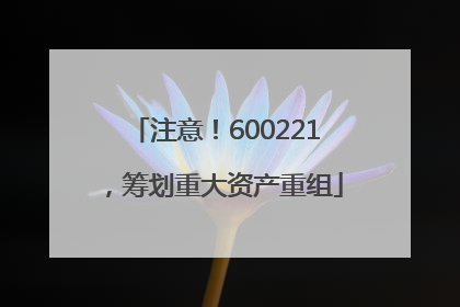注意！600221，筹划重大资产重组