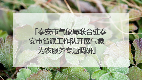 泰安市气象局联合驻泰安市省派工作队开展气象为农服务专题调研