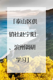 泰山区供销社赴宁阳、滨州调研学习