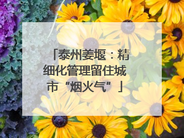 泰州姜堰：精细化管理留住城市“烟火气”
