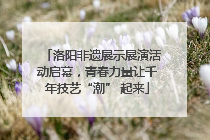洛阳非遗展示展演活动启幕，青春力量让千年技艺“潮” 起来