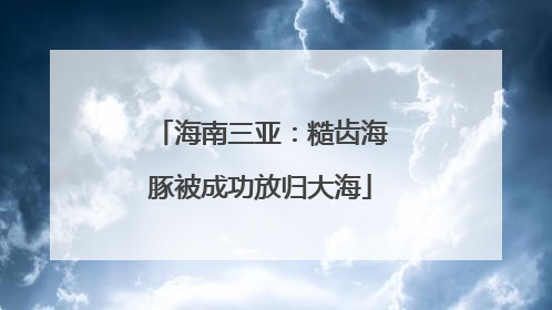 海南三亚：糙齿海豚被成功放归大海