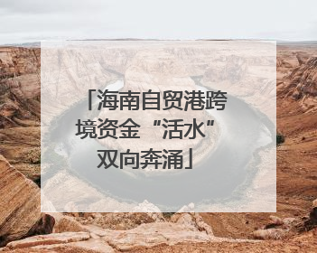 海南自贸港跨境资金“活水”双向奔涌