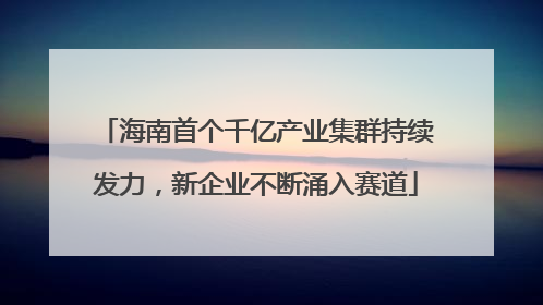 海南首个千亿产业集群持续发力，新企业不断涌入赛道