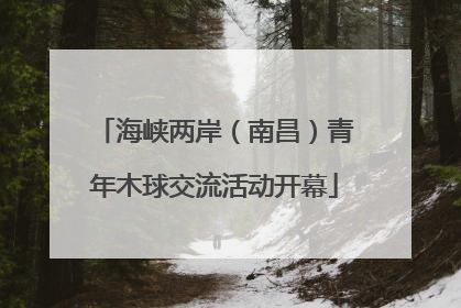 海峡两岸（南昌）青年木球交流活动开幕