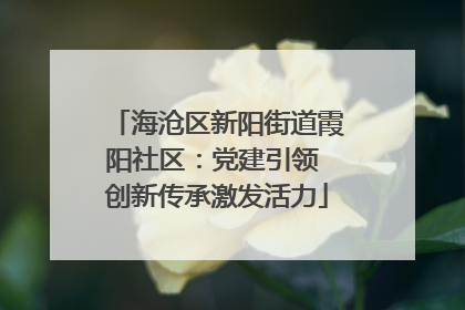 海沧区新阳街道霞阳社区：党建引领 创新传承激发活力