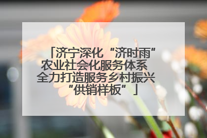济宁深化“济时雨”农业社会化服务体系 全力打造服务乡村振兴“供销样板”