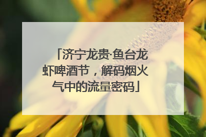 济宁龙贵·鱼台龙虾啤酒节，解码烟火气中的流量密码