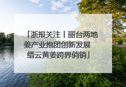 浙报关注丨丽台两地姜产业抱团创新发展 缙云黄姜跨界俏销
