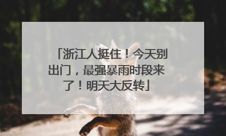 浙江人挺住！今天别出门，最强暴雨时段来了！明天大反转