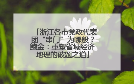 浙江各市党政代表团“串门”为哪般？鲍金：重塑省域经济地理的破题之道