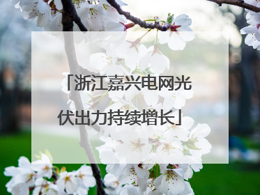 浙江嘉兴电网光伏出力持续增长