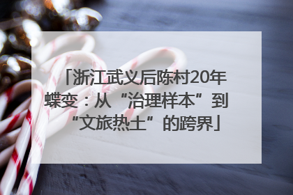 浙江武义后陈村20年蝶变：从“治理样本”到“文旅热土”的跨界