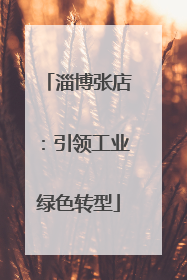 淄博张店：引领工业绿色转型