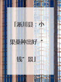 淅川县：小果桑种出好“钱”景