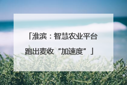 淮滨：智慧农业平台跑出麦收“加速度”