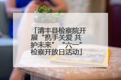 清丰县检察院开展“携手关爱 共护未来”“六一”检察开放日活动