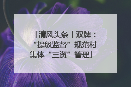 清风头条丨双牌：“提级监督”规范村集体“三资”管理