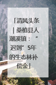 清风头条｜桑植县人潮溪镇：“迟到”5年的生态林补偿金