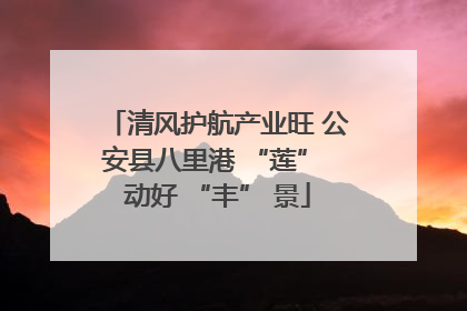 清风护航产业旺 公安县八里港 “莲” 动好 “丰” 景