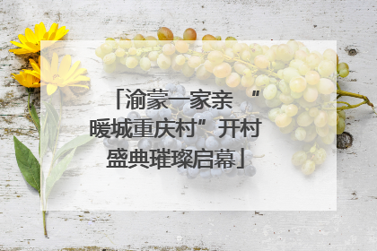 渝蒙一家亲 “暖城重庆村”开村盛典璀璨启幕