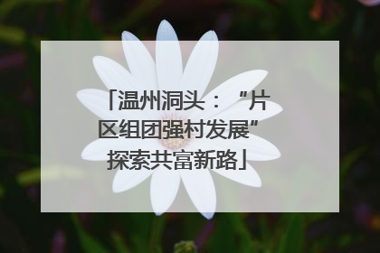 温州洞头：“片区组团强村发展”探索共富新路