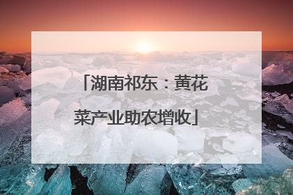 湖南祁东：黄花菜产业助农增收