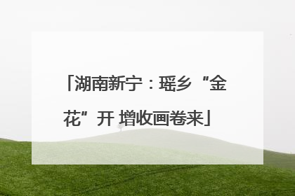 湖南新宁：瑶乡“金花”开 增收画卷来