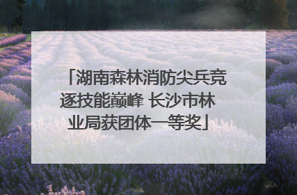 湖南森林消防尖兵竞逐技能巅峰 长沙市林业局获团体一等奖